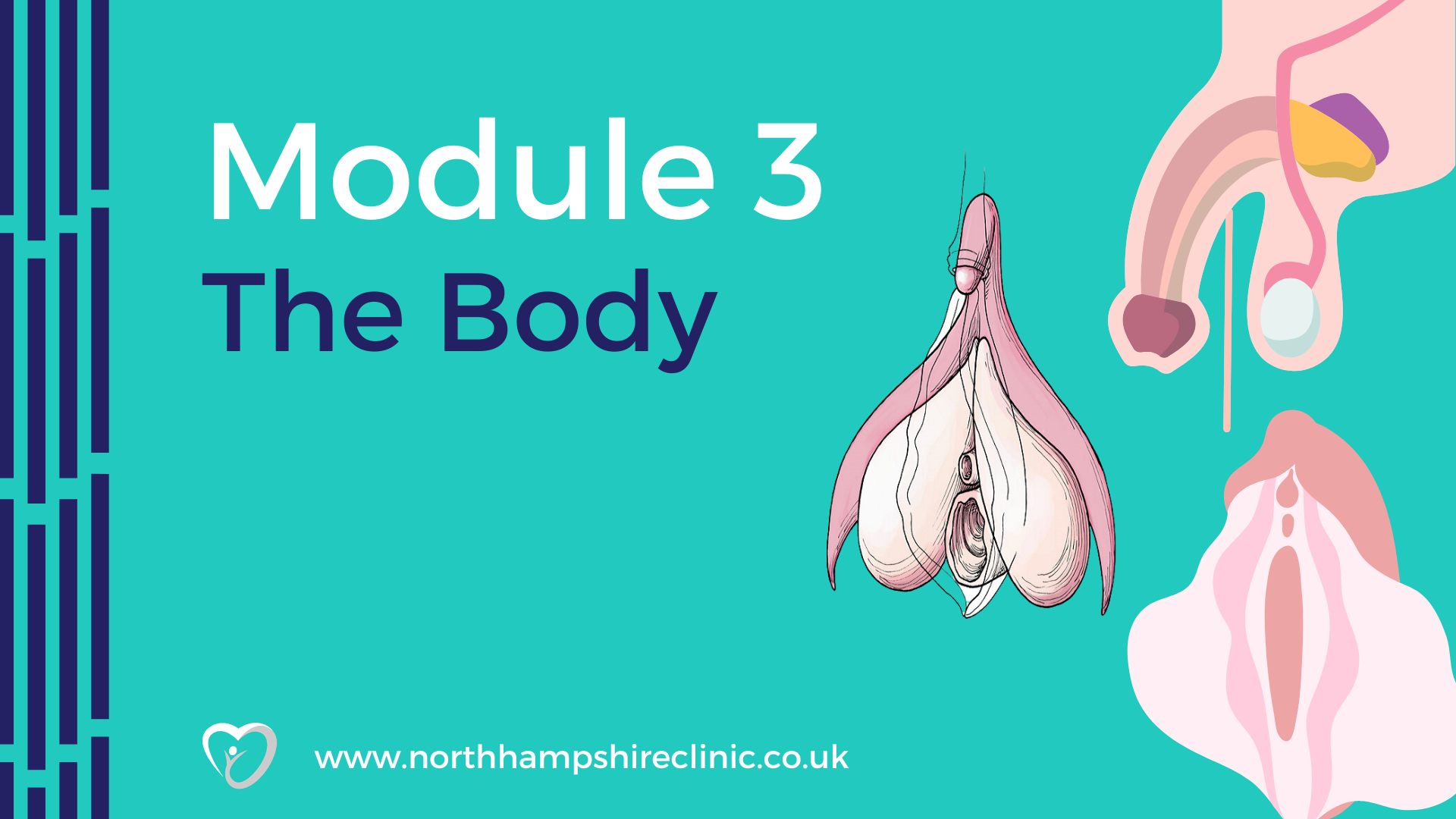 NHC – Module 3 – The Body